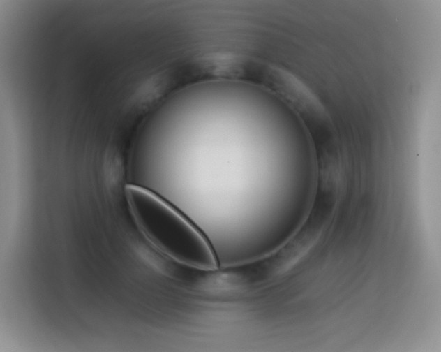 X0000114060748200910051216