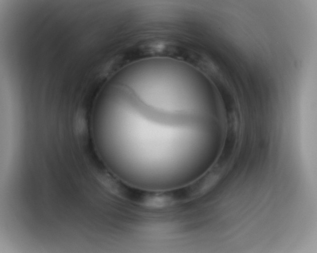 X0000114060754200910051216