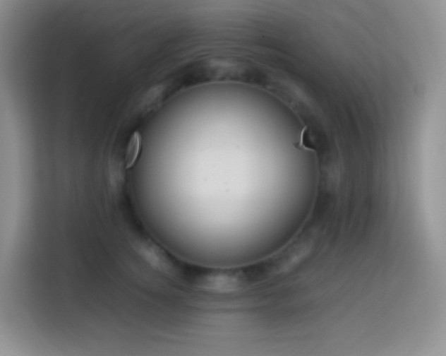 X0000114060756200910051216