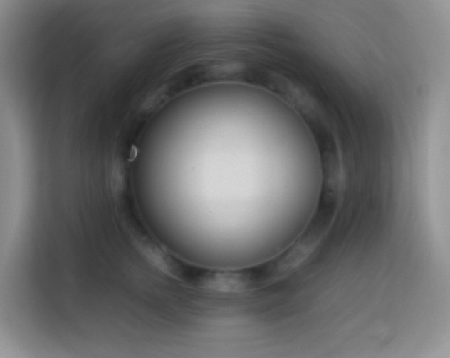 X0000114060758200910051216