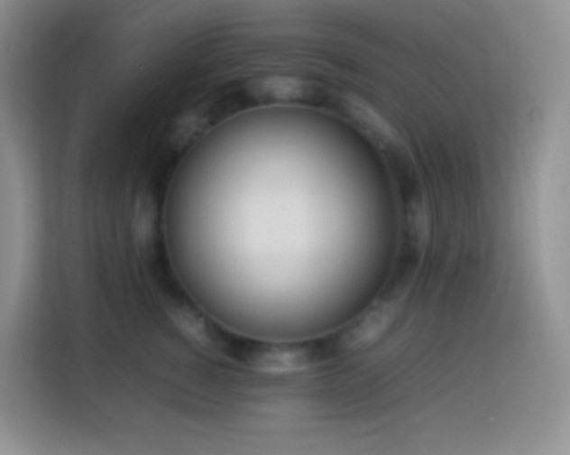 X0000114060760200910051216