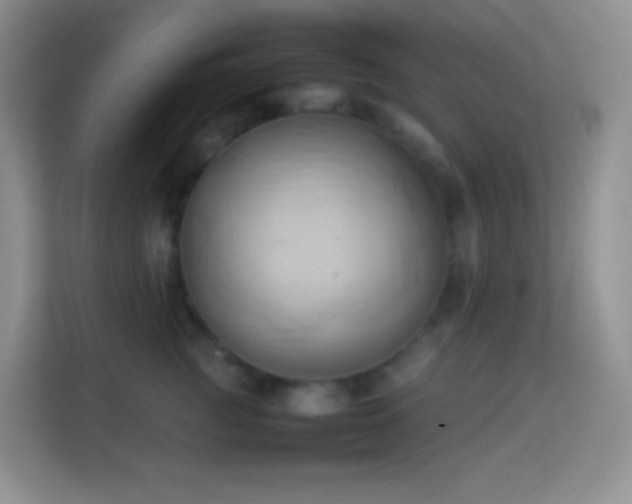 X0000114060761200910051216