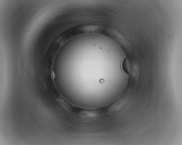 X0000114060763200910051216