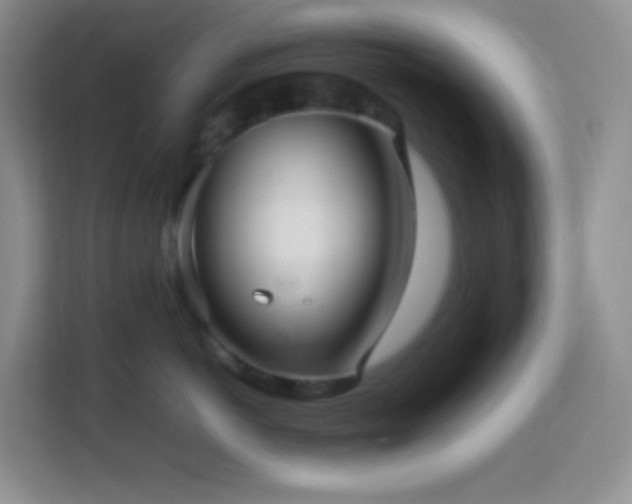 X0000114060766200910051216