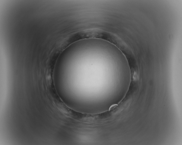 X0000114060771200910051216