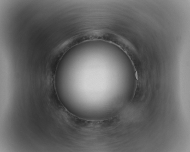 X0000114060773200910051216