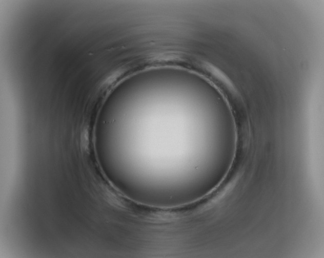 X0000114060777200910051216