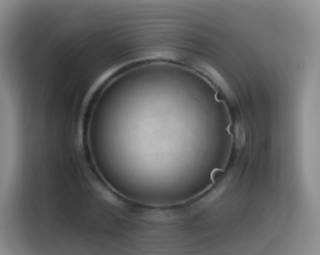 X0000114060780200910051216