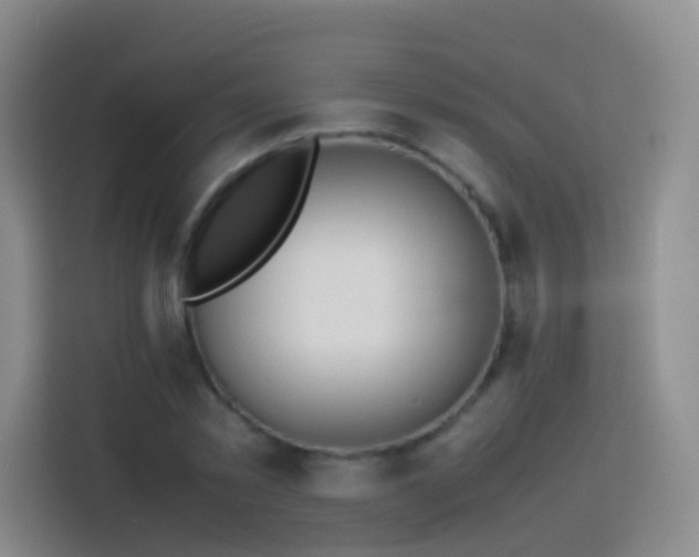 X0000114060781200910051216