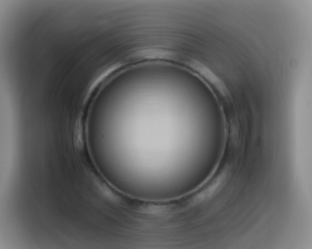 X0000114060782200910051216