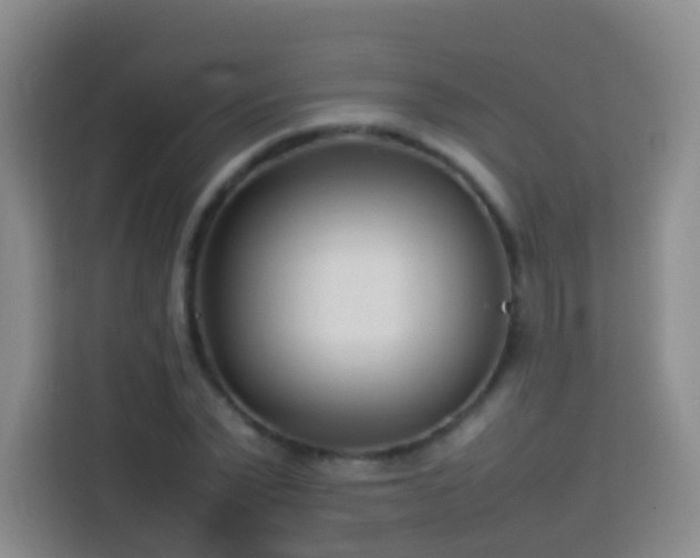 X0000114060783200910051216