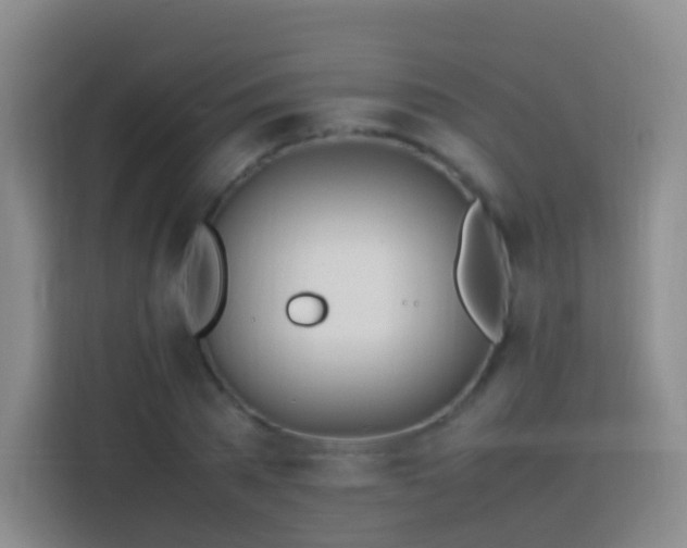 X0000114060785200910051216