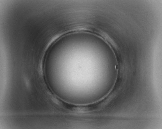 X0000114060789200910051215