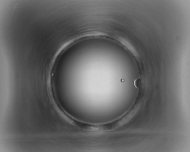 X0000114060797200910051215