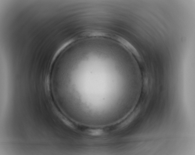 X0000114060798200910051215