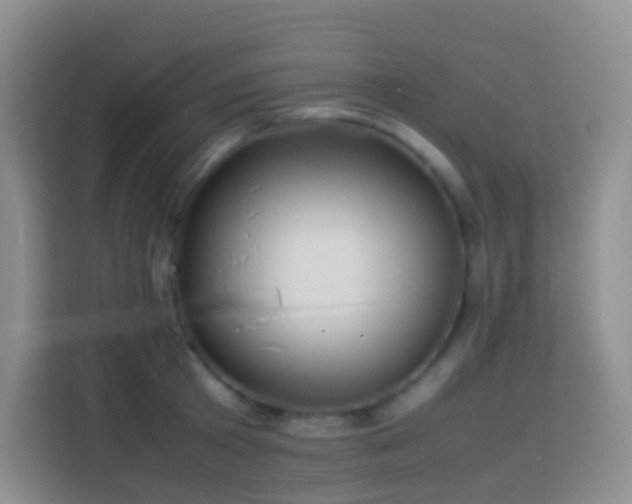 X0000114060801200910051215