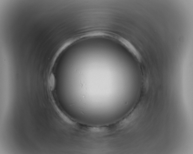 X0000114060805200910051215