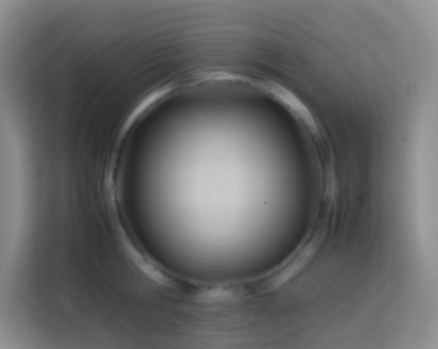 X0000114060806200910051215