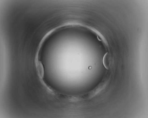 X0000114060815200910051215