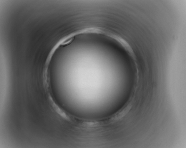 X0000114060816200910051215