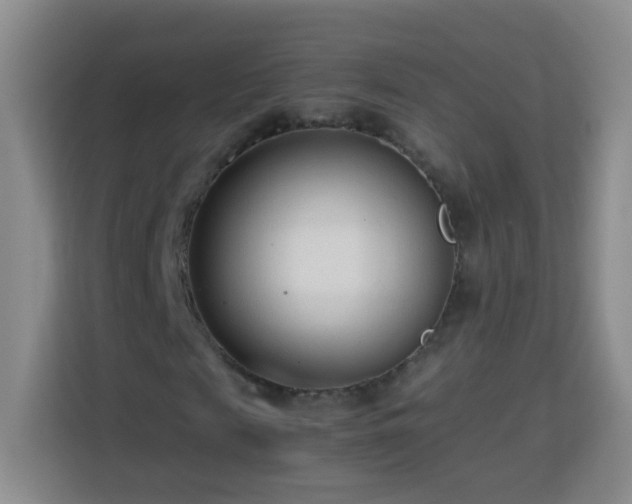 X0000114060817200910051214