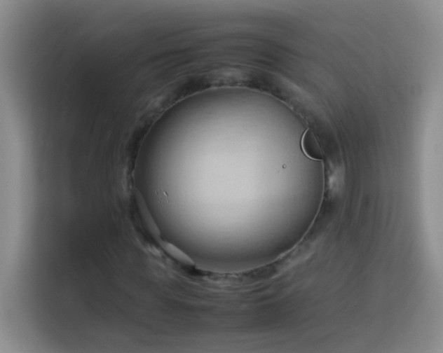 X0000114060819200910051215