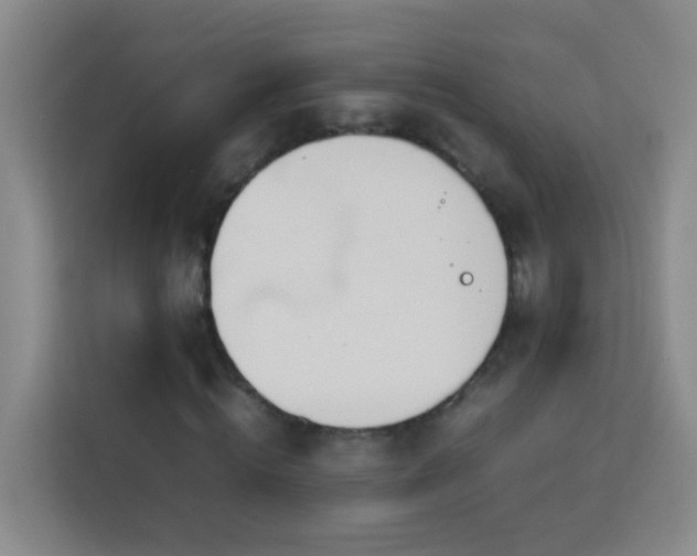 X0000114060820200910051215