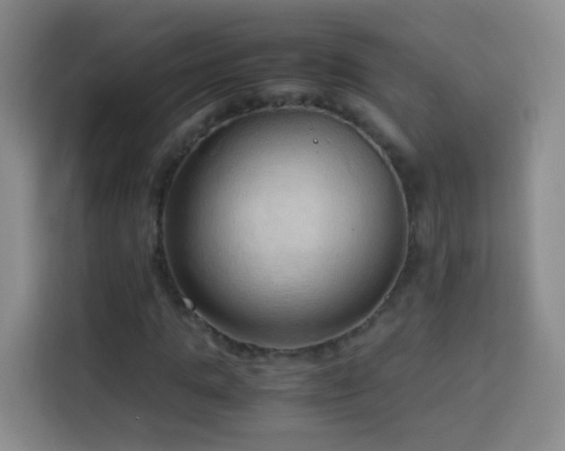 X0000114060821200910051215