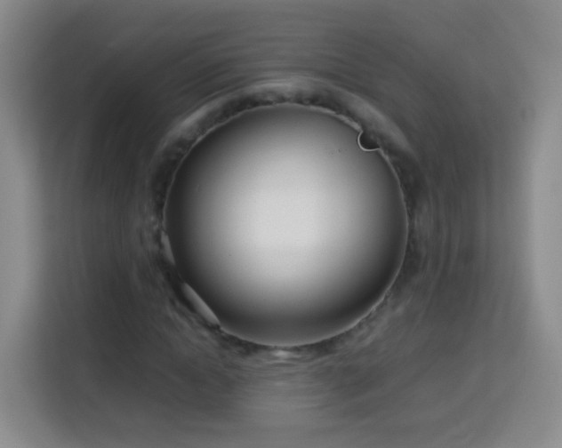 X0000114060822200910051215
