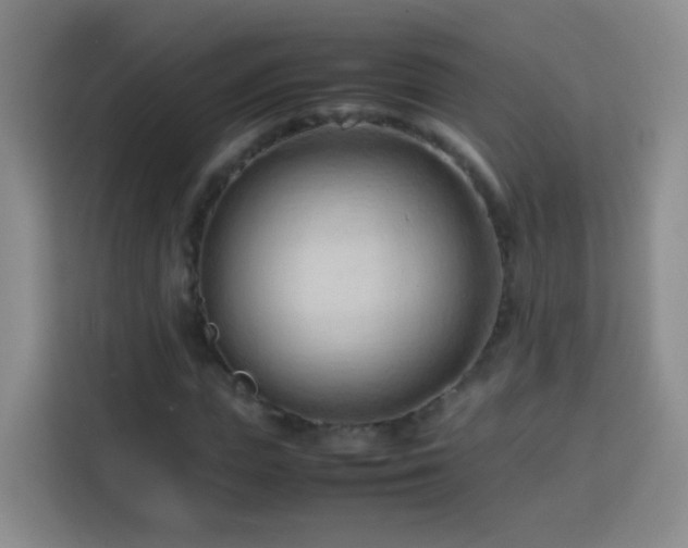 X0000114060823200910051215