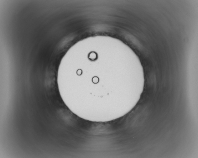 X0000114060824200910051215