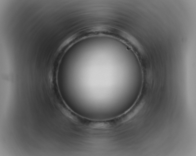 X0000114060826200910051215
