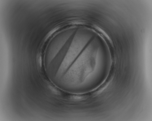 X0000114060829200910051215