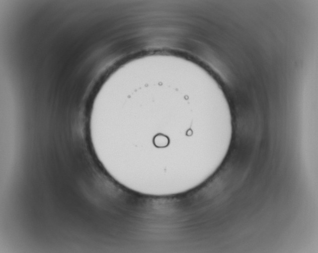 X0000114060832200910051215