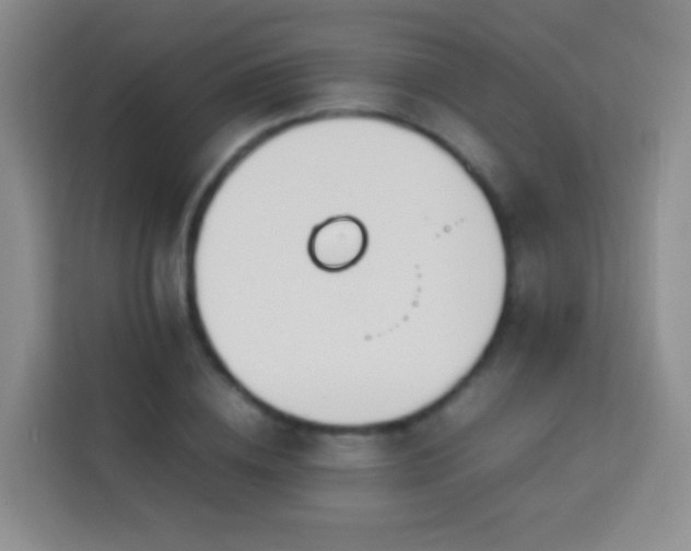 X0000114060836200910051215