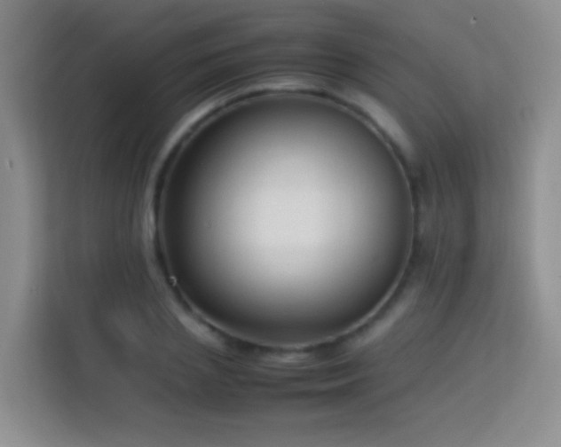 X0000114060837200910051215