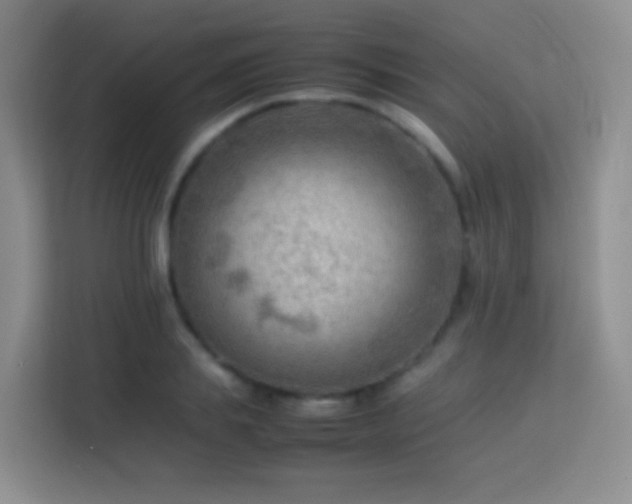 X0000114060839200910051215