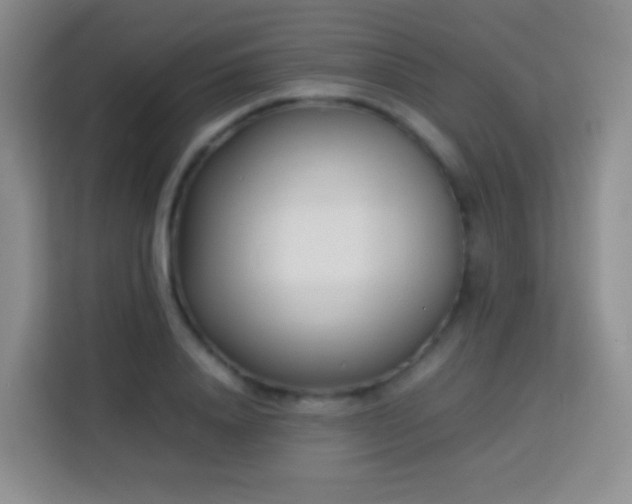 X0000114060840200910051215