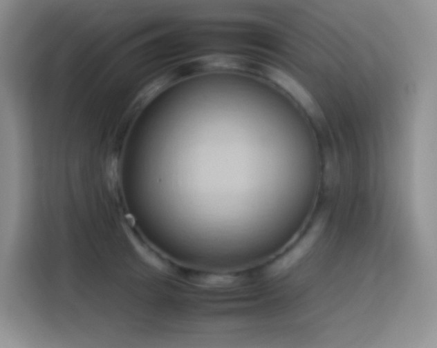X0000114060849200910051215