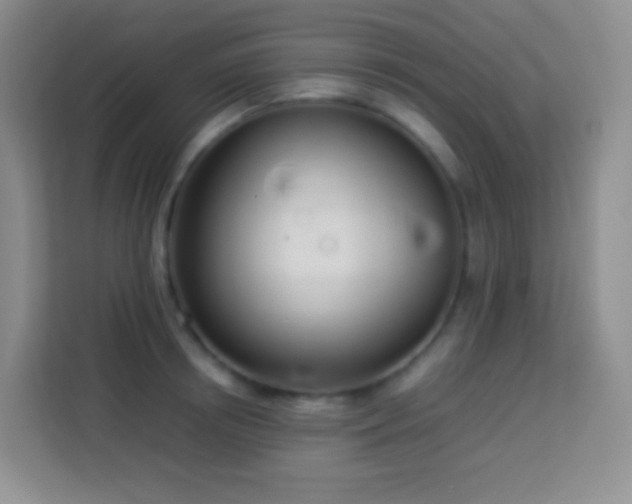 X0000114060850200910051215