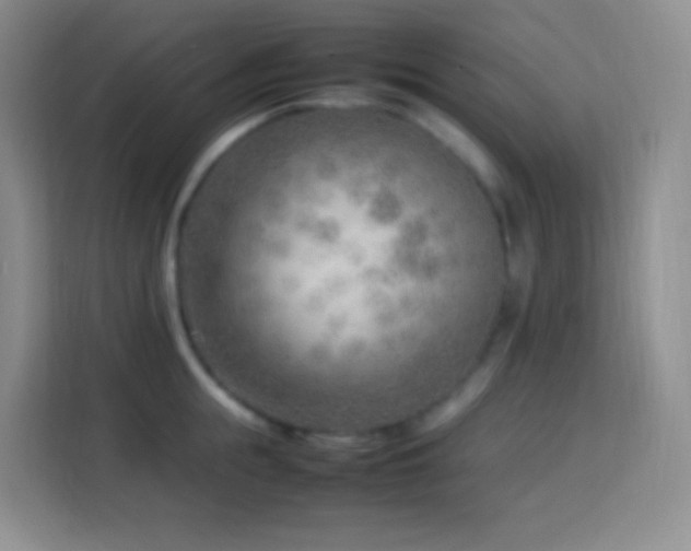 X0000114060855200910051215