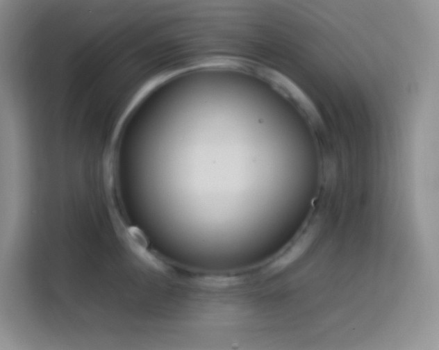 X0000114060860200910051215