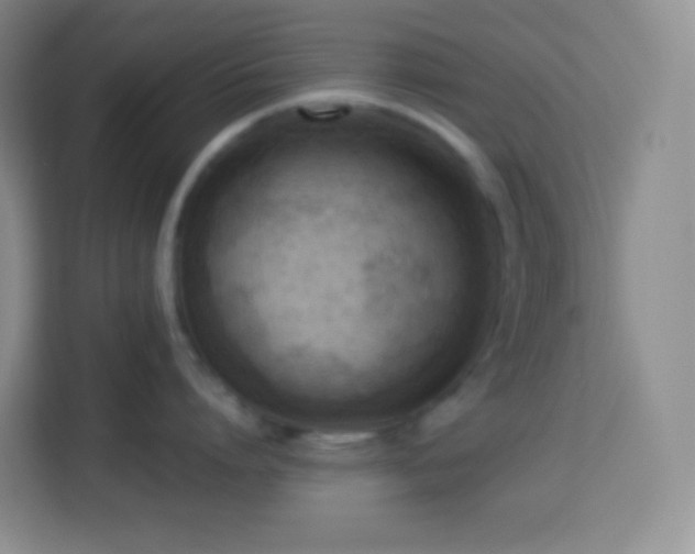 X0000114060864200910051215