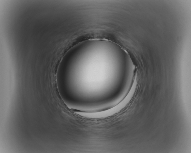 X0000114060865200910051214