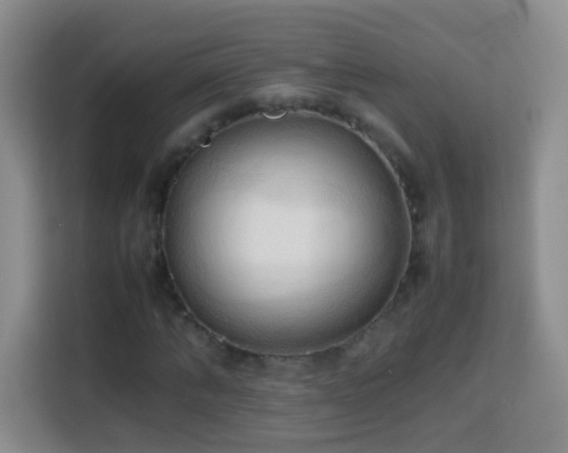 X0000114060870200910051214