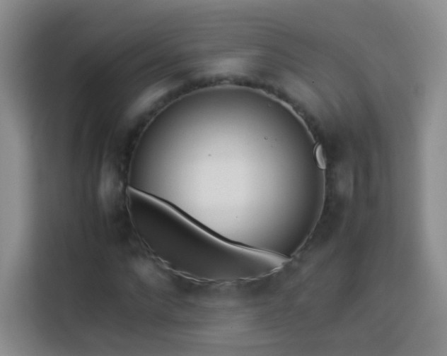 X0000114060872200910051214