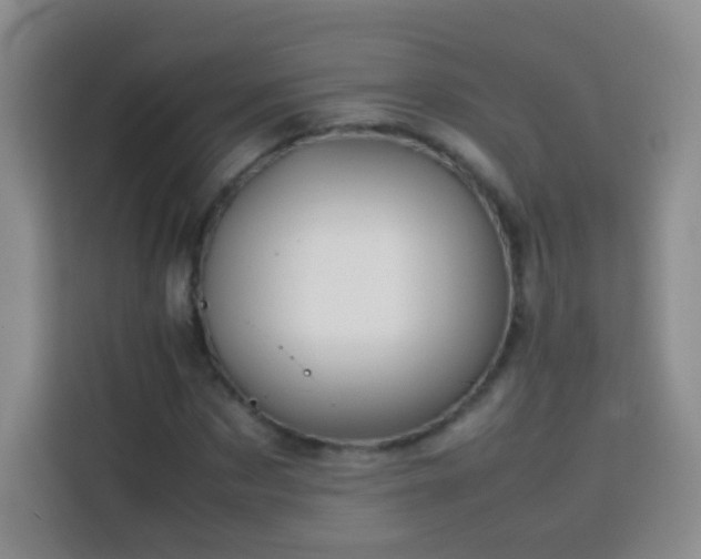 X0000114060873200910051214
