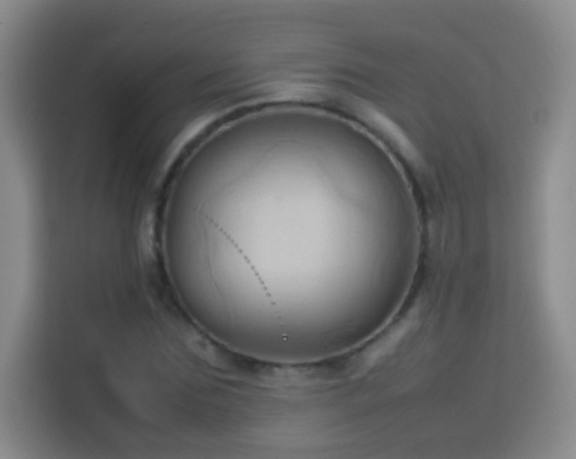 X0000114060875200910051214