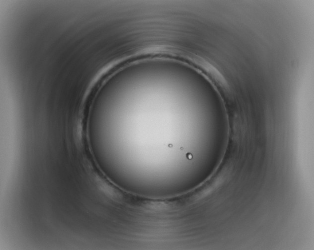 X0000114060880200910051214