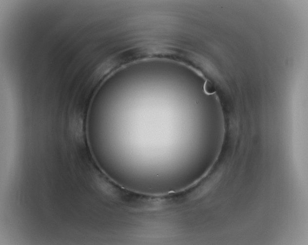 X0000114060881200910051214